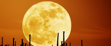 Волшебный лунный календарь с 14 по 20 ноября 2011 года