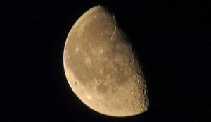Волшебный лунный календарь с 12 по 18 декабря 2011 года