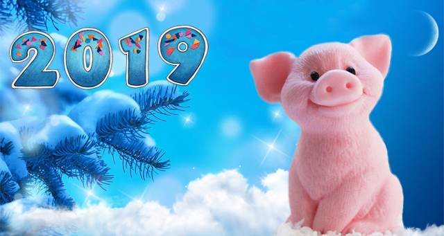 как встретить новый 2019 год свиньи